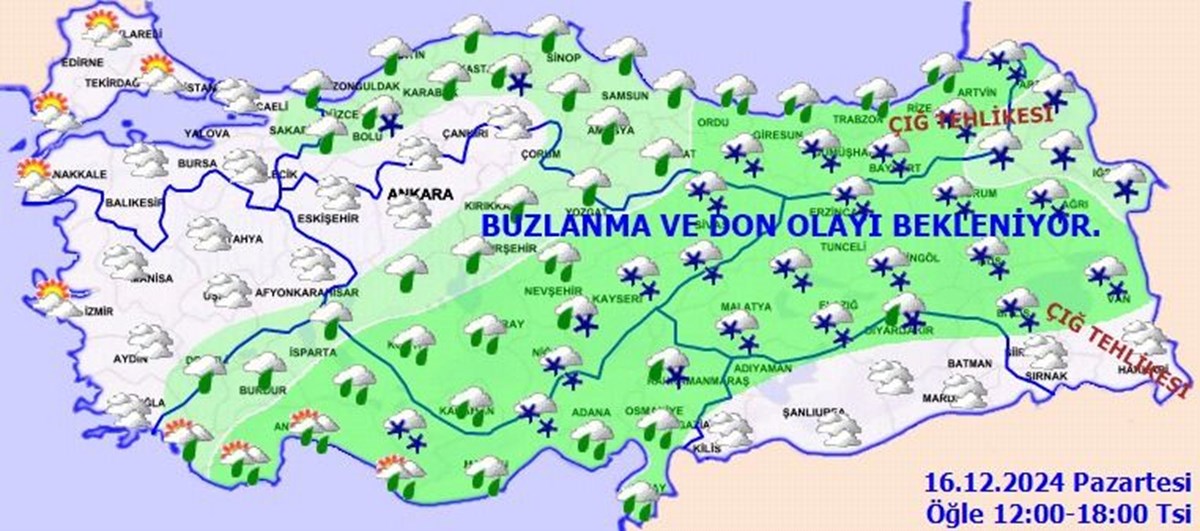 kTi_68ogmkmr9UyjZrBeAg.jpg