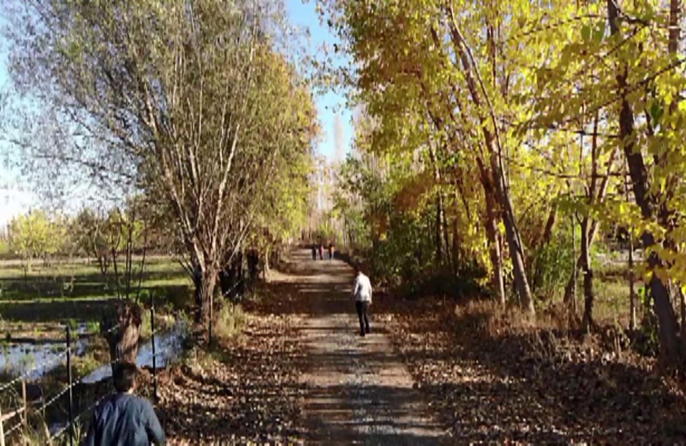 Hz. Adem ve Havva'nın yaşadığına inanılan İrem Bağları'na ziyaretçi akını - 3