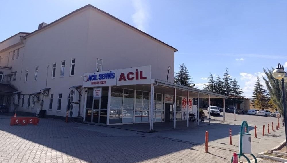 Arı can aldı: Nisa'nın acı ölümü