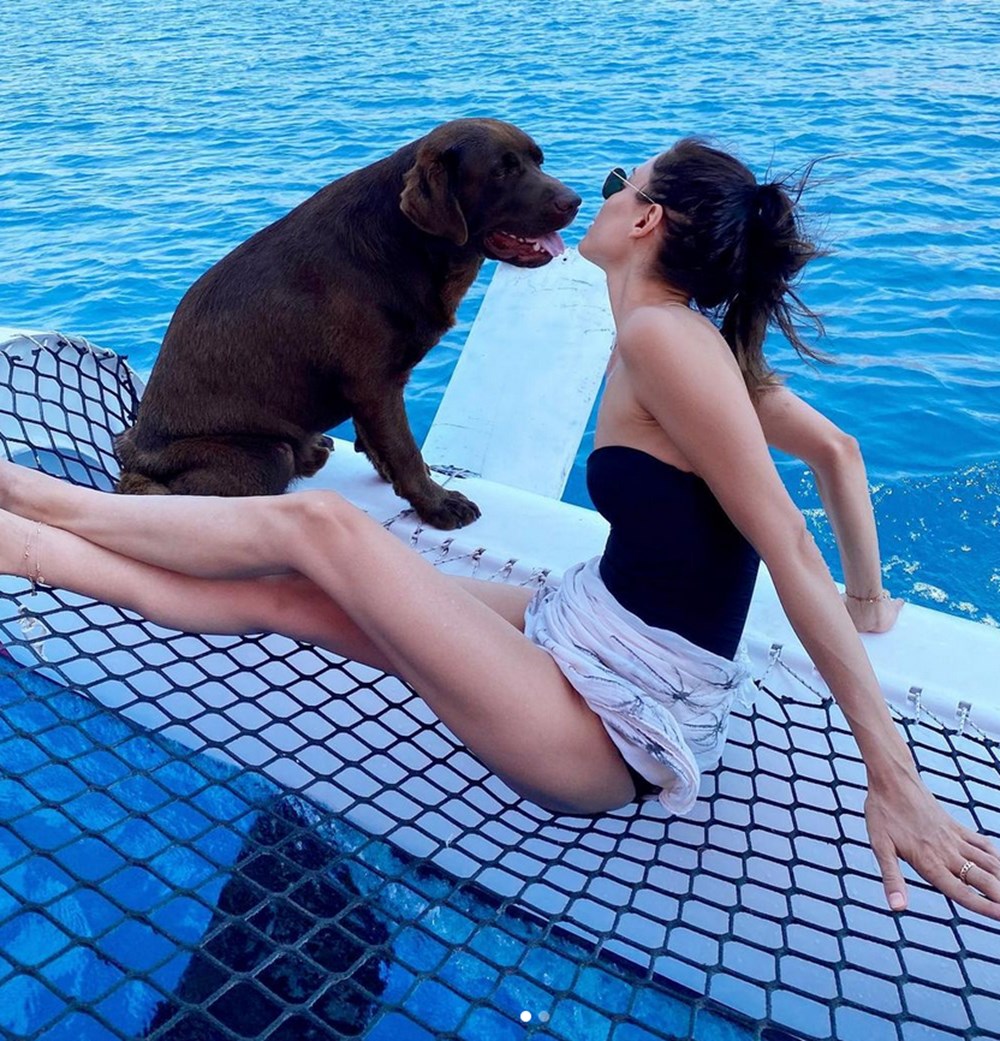 Cansu Dere'den hayvanlar için bağış - 1