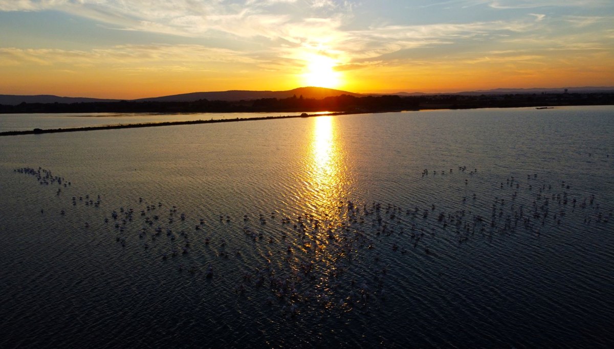 Ekoloji tutkunları ve kuş gözlemcileri için doğal bir cennet: Etang de l'Arnel lagünü Ekoloji tutkunları ve kuş gözlemcileri için doğal bir cennet: Etang de l'Arnel lagünü