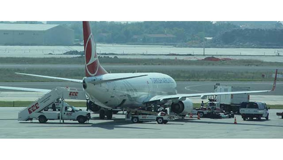 THY uçağı kuş sürüsüne çarptı