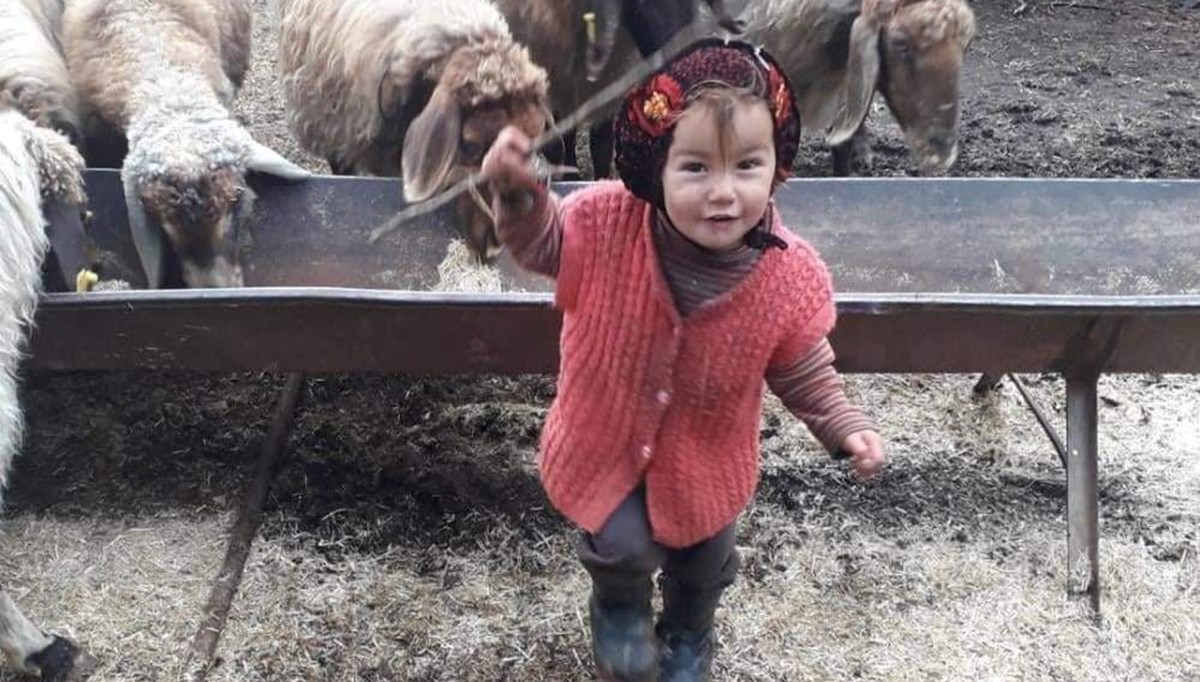 3 yaşındaki Müslüme bir haftadır kayıp: Arandığı bölgede kan izine rastlandı