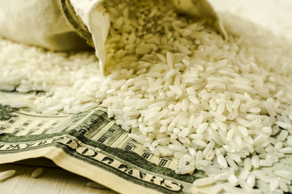 Küresel gıda fiyatları yükseliyor: Sıradaki kriz pirinç olabilir - 5
