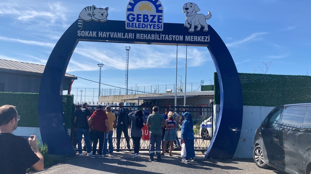 Gebze’de hayvan katliamı: Çöp torbalarından çok sayıda kedi ve köpek çıktı - 1