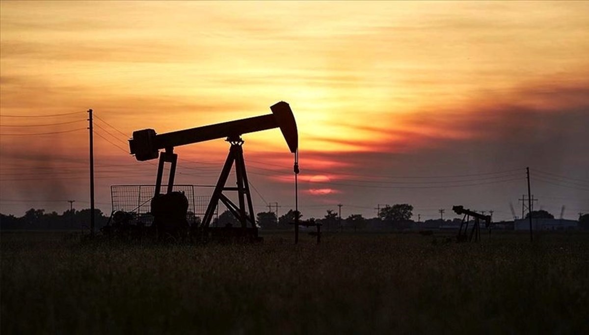 OPEC'in petrol üretimi ekimde günlük 80 bin varil arttı