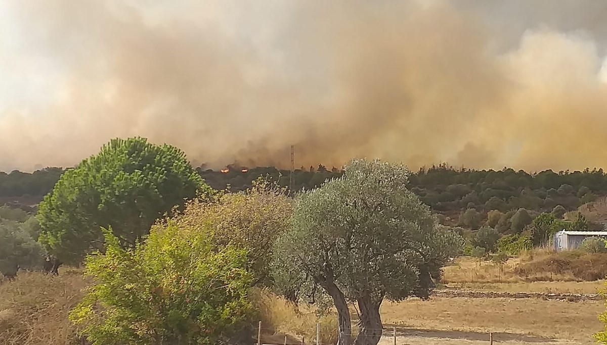 İzmir'de çöplükte çıkan yangın ormana sıçradı