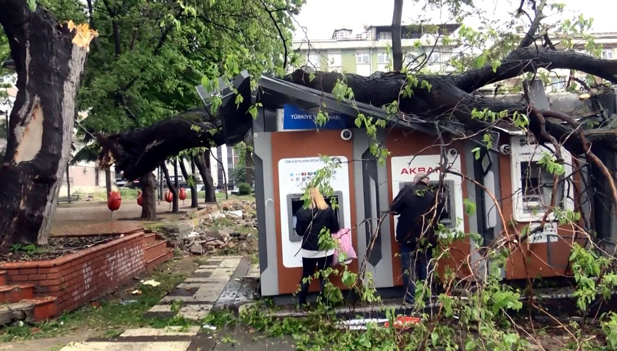 ATM'nin üzerine ağaç devrildi: Para çekmeye devam ettiler