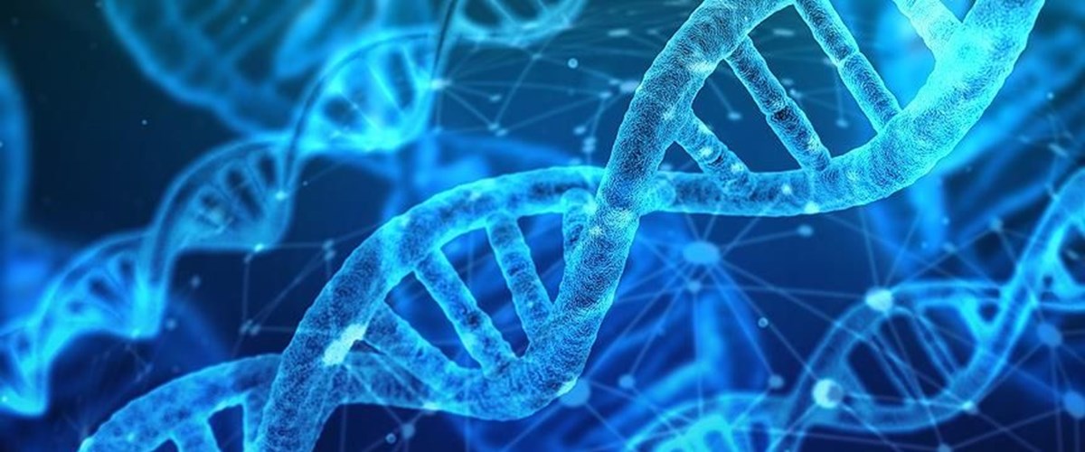 ABD'de 25 yıl önce işlenen cinayet DNA eşleşmesiyle aydınlatıldı