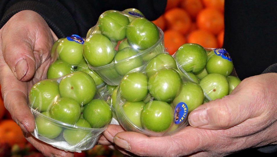 can eriginin fiyati yaridan fazla dustu ntv