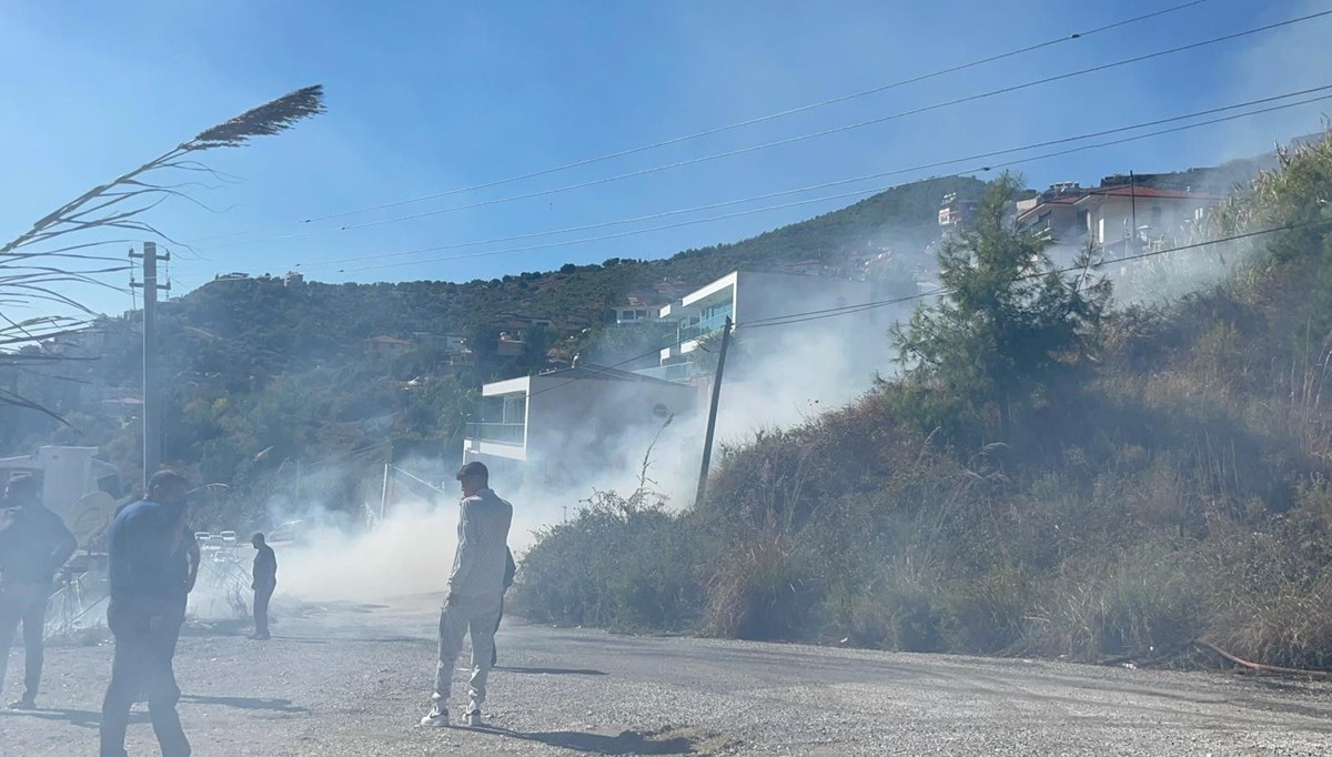 Alanya'da orman yangını