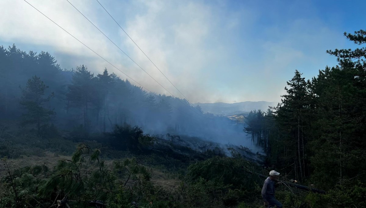 Kastamonu’da orman yangını: 2 hektarlık alan zarar gördü