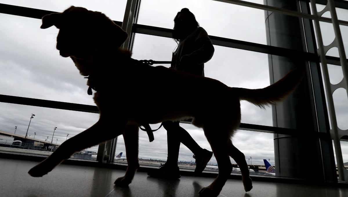 Uçağa alınmayan köpeğini havaalanı tuvaletinde öldürdü