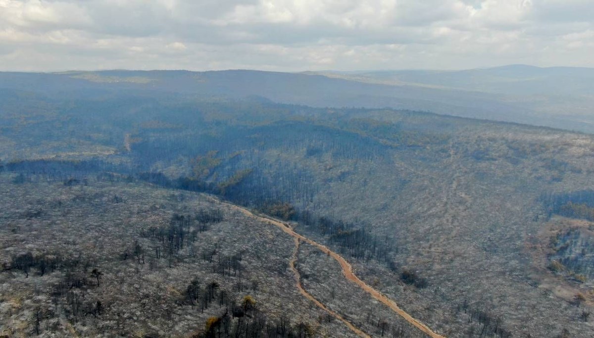 Kastamonu'da acı manzara: Orman yangınından geriye gri renk kaldı