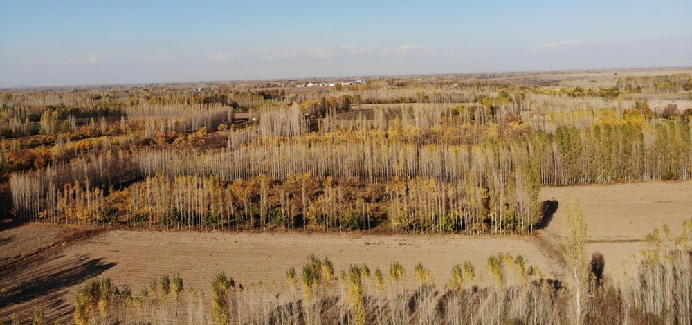Hz. Adem ve Havva'nın yaşadığına inanılan İrem Bağları'na ziyaretçi akını - 6