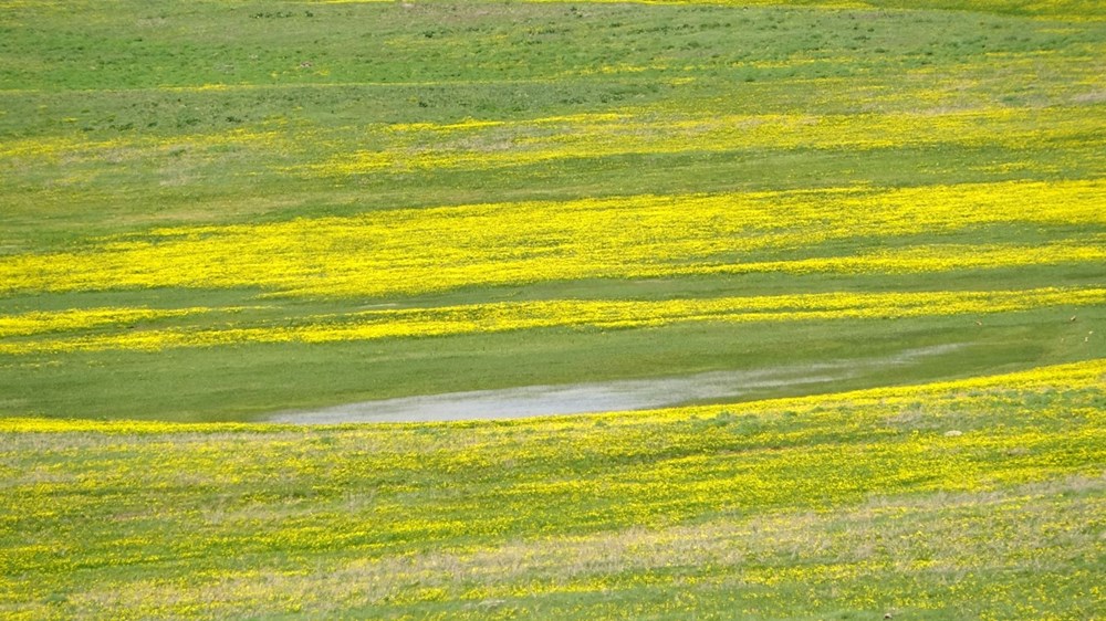 Muş'ta Hamurpet Gölleri görenleri doğasıyla mest ediyor - 9