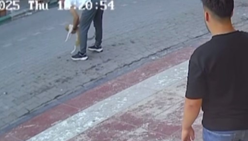 Kediye Heimlich manevrası yaptı
