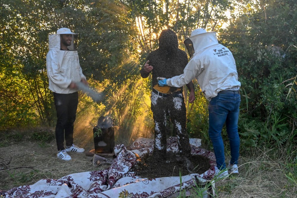 "Arı Adam"ın Guinness Rekorlar Kitabı hayaline ramak kaldı - 10