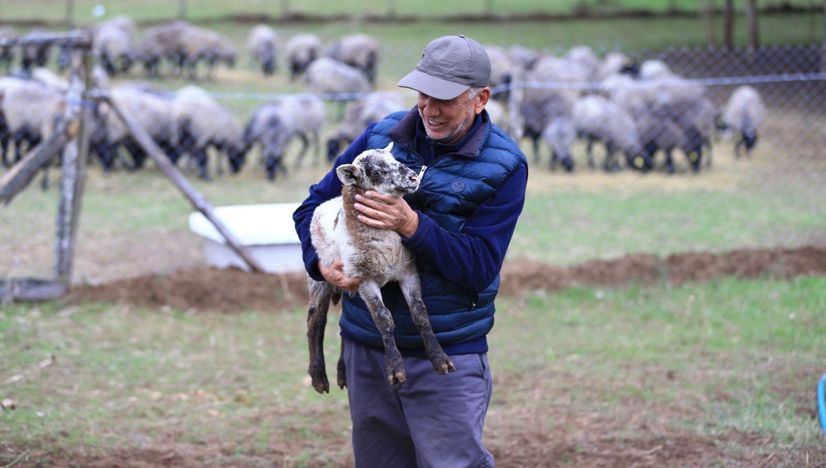 Romanov yetiştirmeye başladı, talebe yetişemiyor