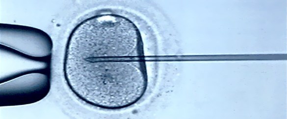 Tüp bebek tedavisi görenler oruç tutabilir mi? Sağlık