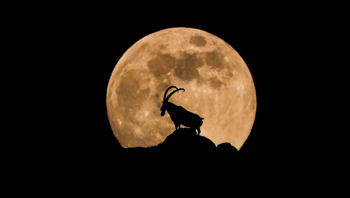 Niğdeli fotoğrafçı eşsiz anı böyle kadrajına aldı: Yıllardır bunu bekliyordum