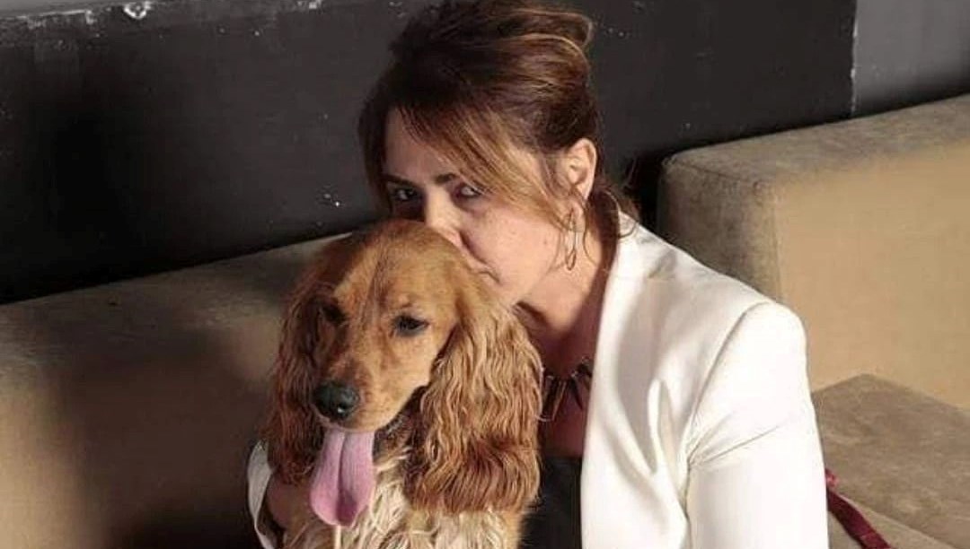 Hayvansever gazeteci yoğun bakımda: Can dostları sahiplendiriliyor