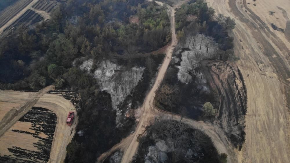Çanakkale'deki orman yangınında yanan alanlar havadan görüntülendi - 6