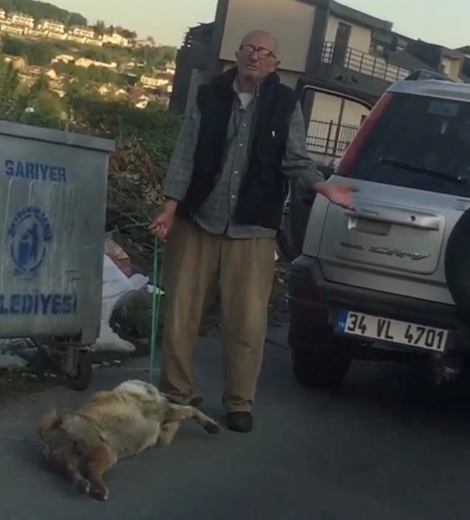 Sarıyer'de köpeğini silahla vurarak öldürdüğü iddia edilen kişi serbest bırakıldı - 1