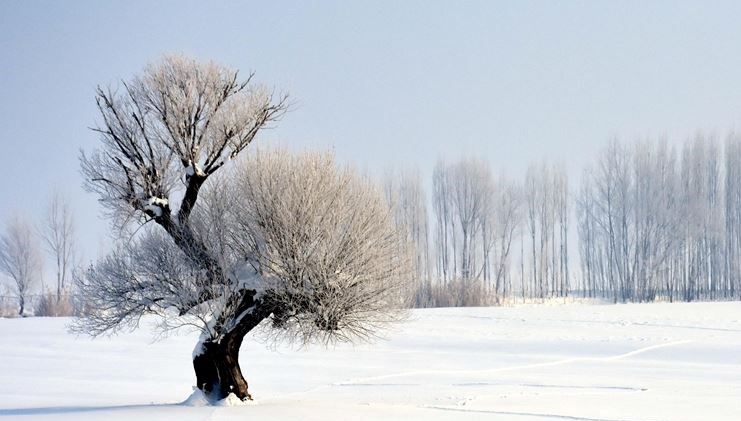 2024 Zemheri tarihi: Zemheri ne zaman başlayacak?