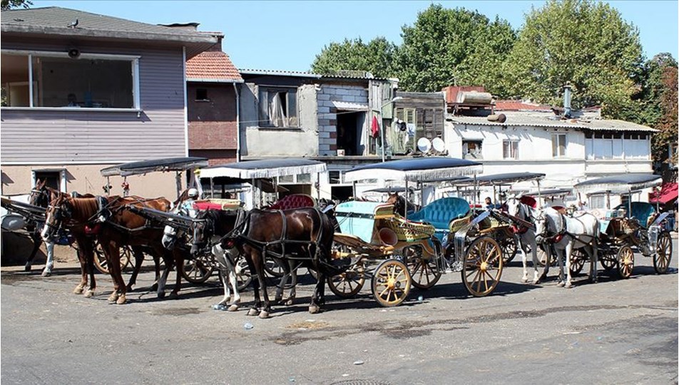 Adalar'daki faytonlar yaklaşık 90 milyon liraya İBB'ye geçecek