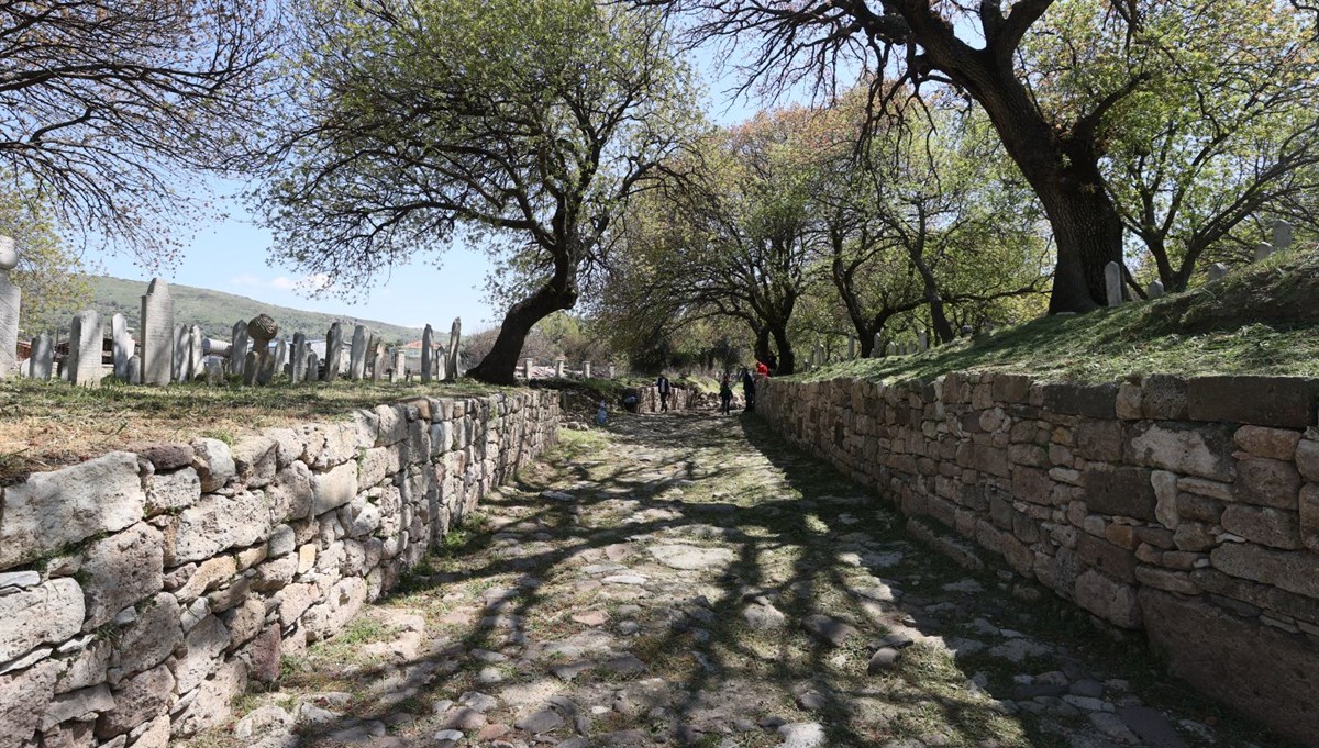 İzmir Foça'daki Phokaia Antik Kenti'ndeki yol ziyarete açılıyor