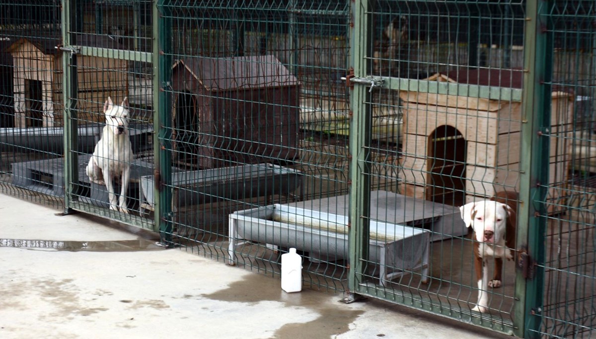 Müebbet mahkumları: Özgür kalmaları için tek yol var