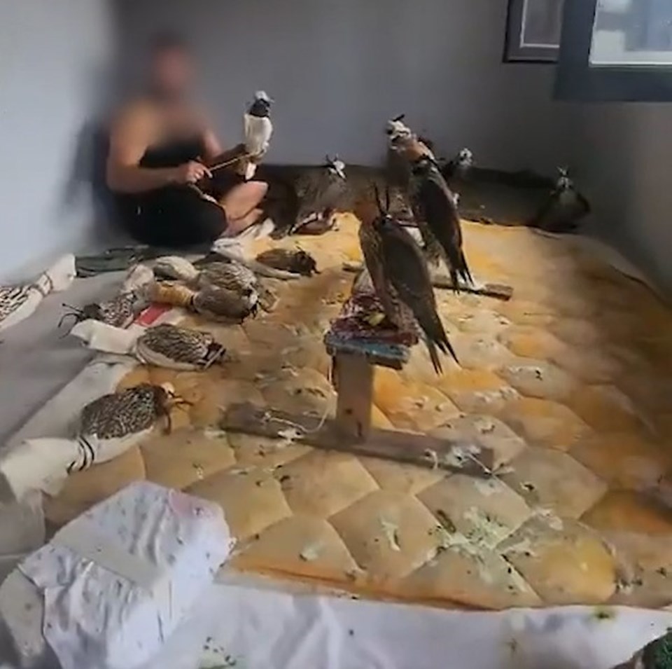 Sosyal medyada gündem olmuşlardı: Kuş çetesine Silivri'de baskın! - 1