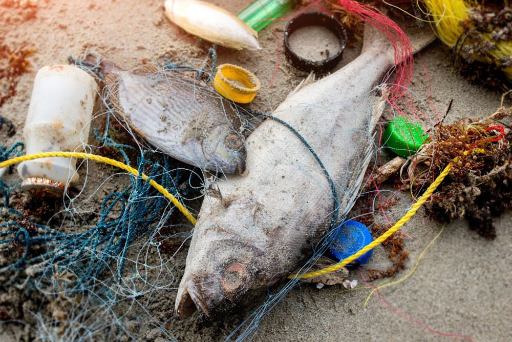 Dünyadaki plastik atık kirliliğinin yarısından fazlasından 20 dev şirket sorumlu - 6