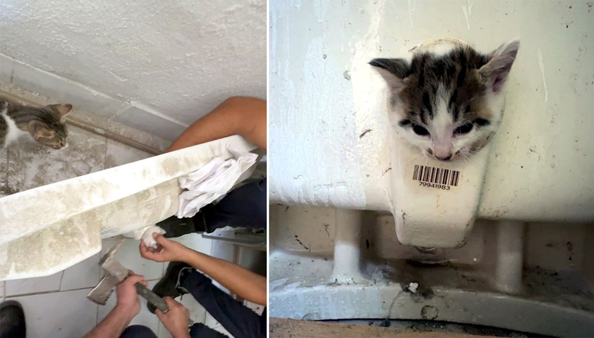 Başı lavabo deliğine sıkışan kediyi itfaiye kurtardı, annesi başından bir saniye ayrılmadı
