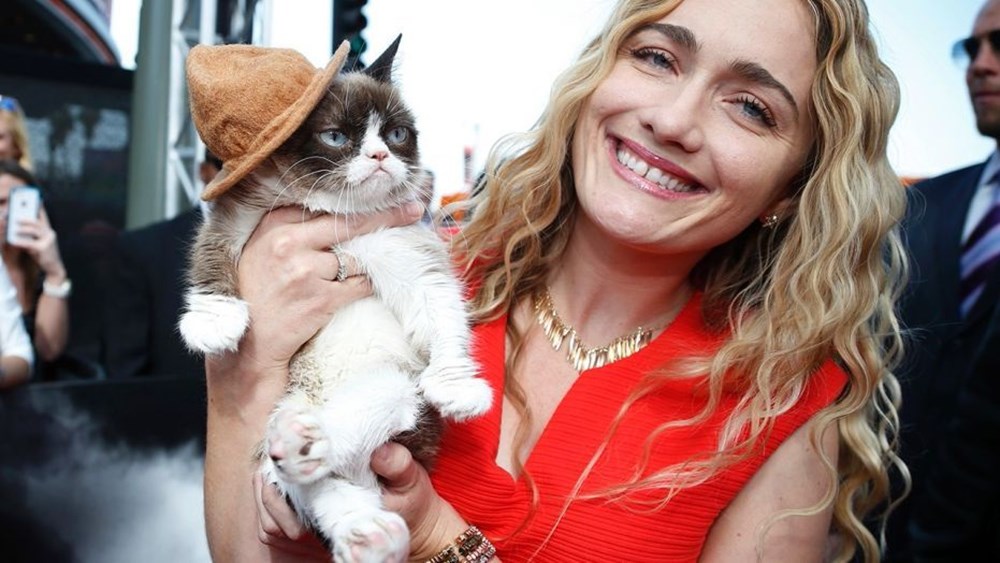 Huysuz Kedi �Grumpy Cat� hayatını kaybetti NTV