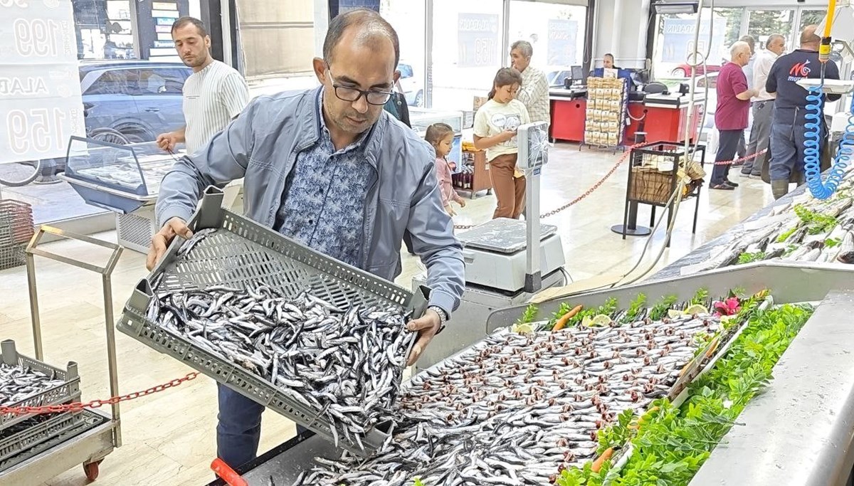 Tezgahlar şenlendi: 30'dan fazla çeşit balık var