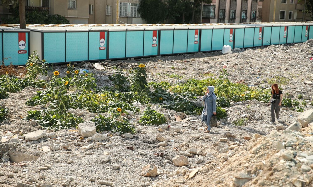 Depremin merkez üssünde molozların arasında ürünler filizlenmeye başladı - 9