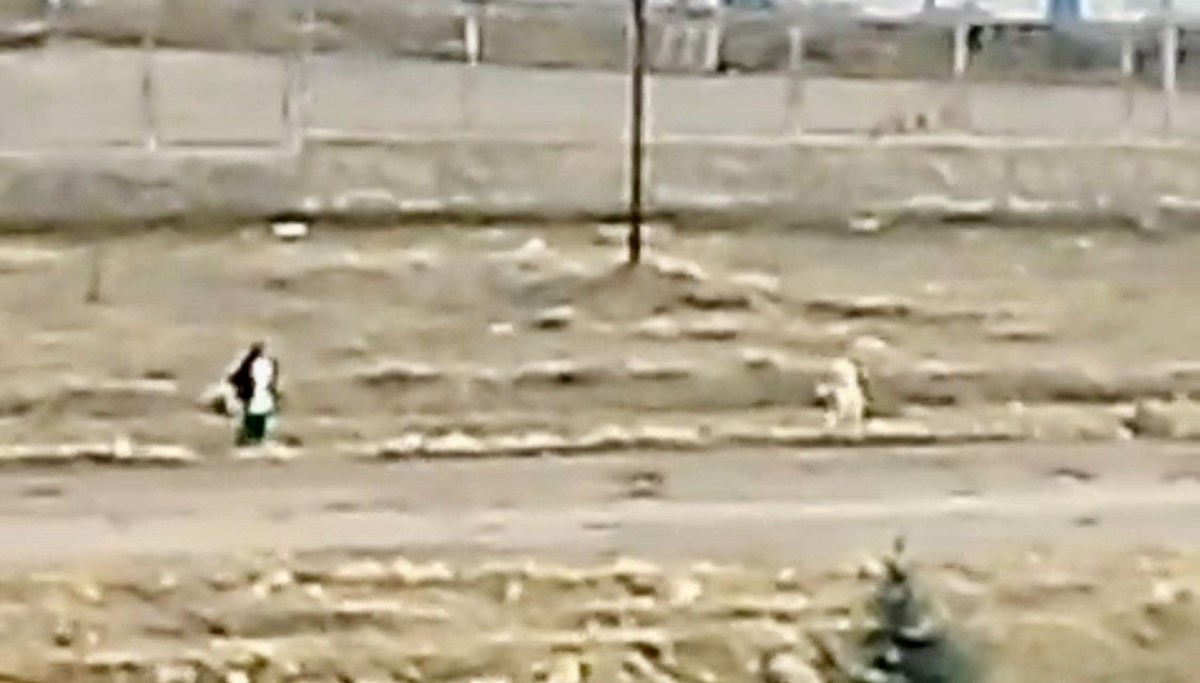 Sokak köpeklerinin saldırısına uğrayan çocuk, çuval parçası ile kurtuldu Sokak köpeklerinin saldırısına uğrayan çocuk, çuval parçası ile kurtuldu
