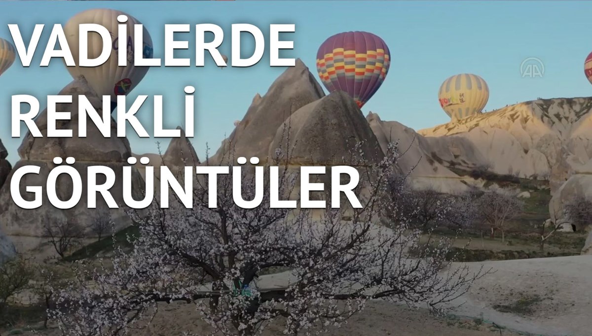 İlkbaharda açan çiçekler Kapadokya'ya renk kattı