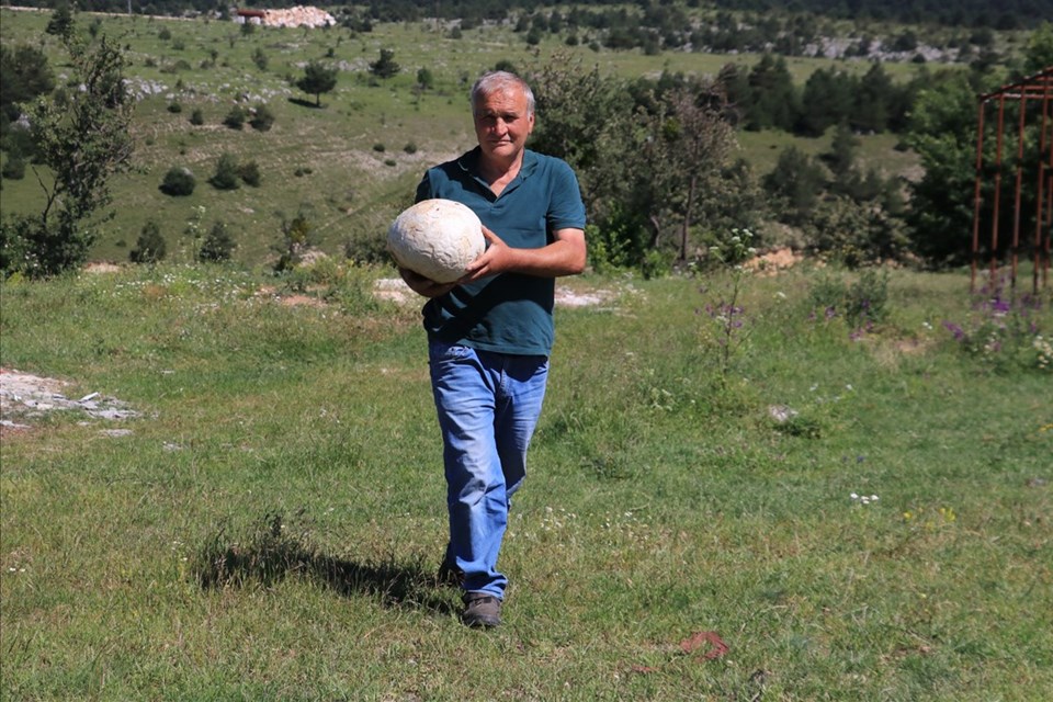 Futbol topu sandı, 5 kilogram ağırlığında mantar çıktı - 2