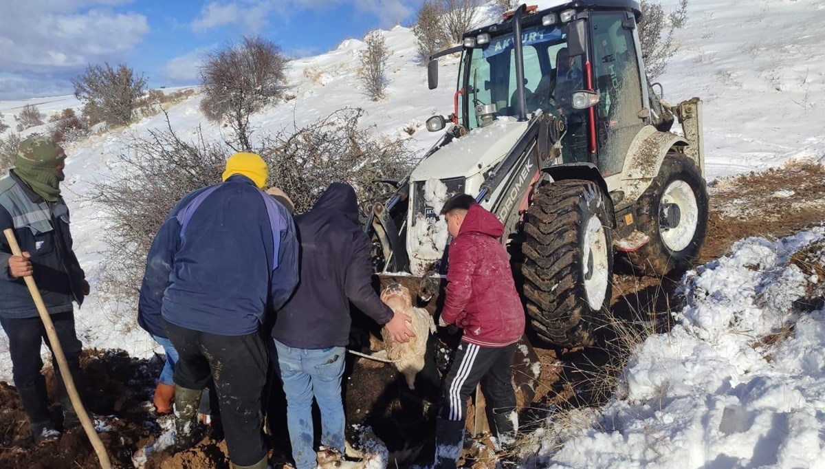 Dağda mahsur kalan hayvanlar kurtarıldı