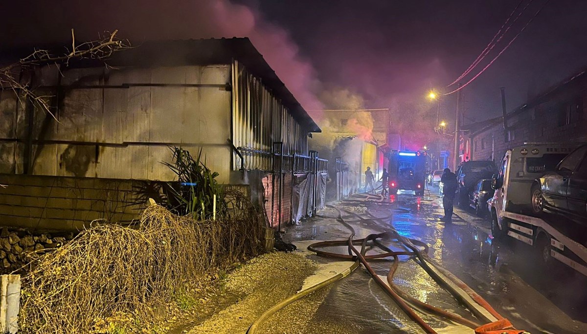 Oto galeri alevlere teslim oldu: 10 araç küle döndü