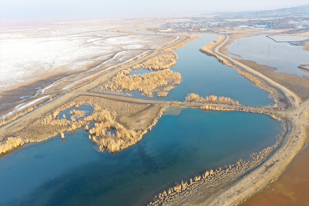 �Türkiye�nin çatısı� Ağrı Dağı göçmen kuşlara ev sahipliği yapıyor NTV