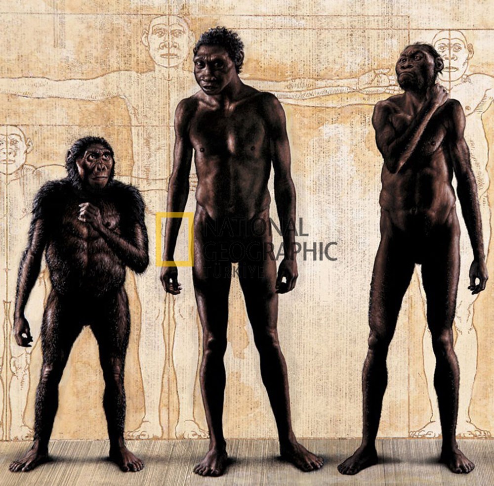 Эволюция человеческой расы. Первые люди хомо сапиенс. Хомо сапиенс и хомо хабилис. Хомо сапиенс Эректус Эволюция.