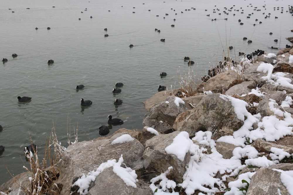 Ankara'da termometreler -9 dereceyi gösterdi: Kuğulu Park'ın havuzları dondu - 6