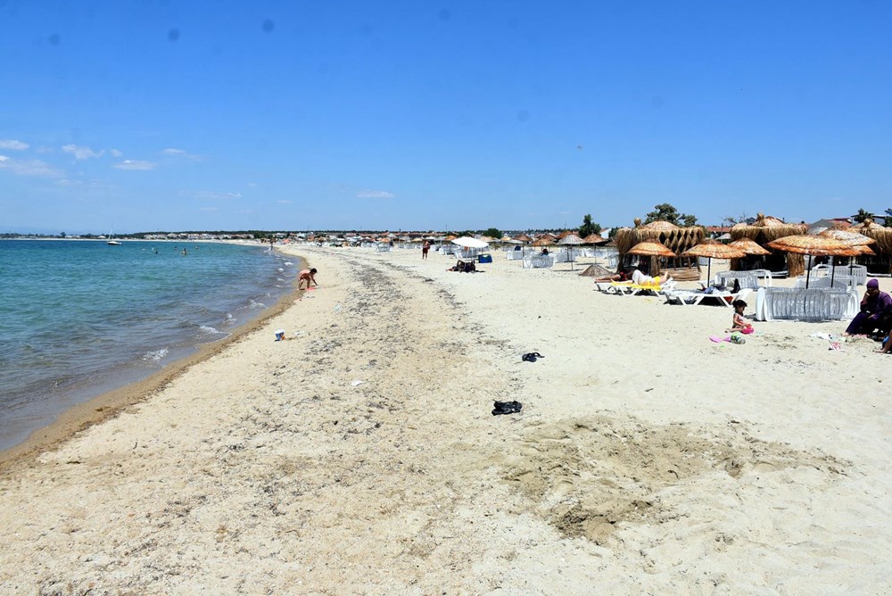 Saros Körfezi'nde uğur böceği istilası - 8