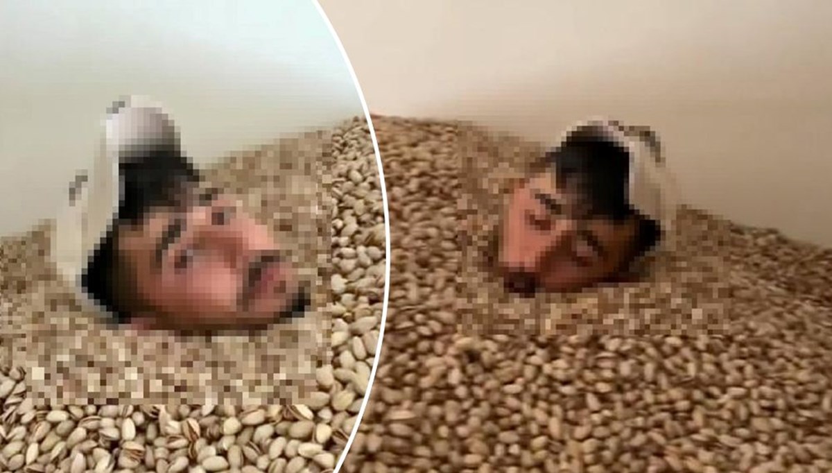 Tepki çeken fıstık videosuna gözaltı Tepki çeken fıstık videosuna gözaltı
