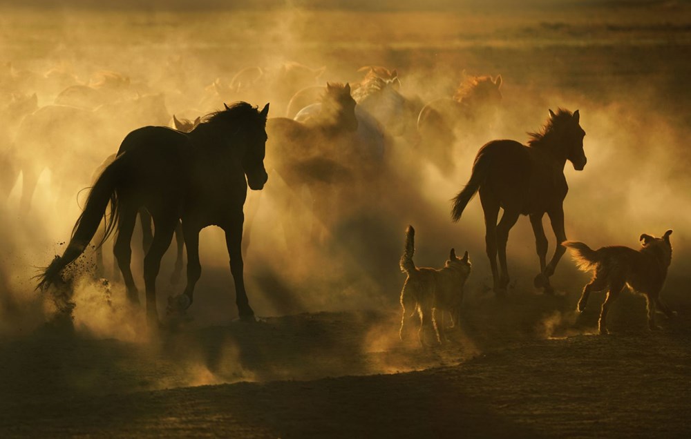 kadin gozuyle hayattan kareler fotograf