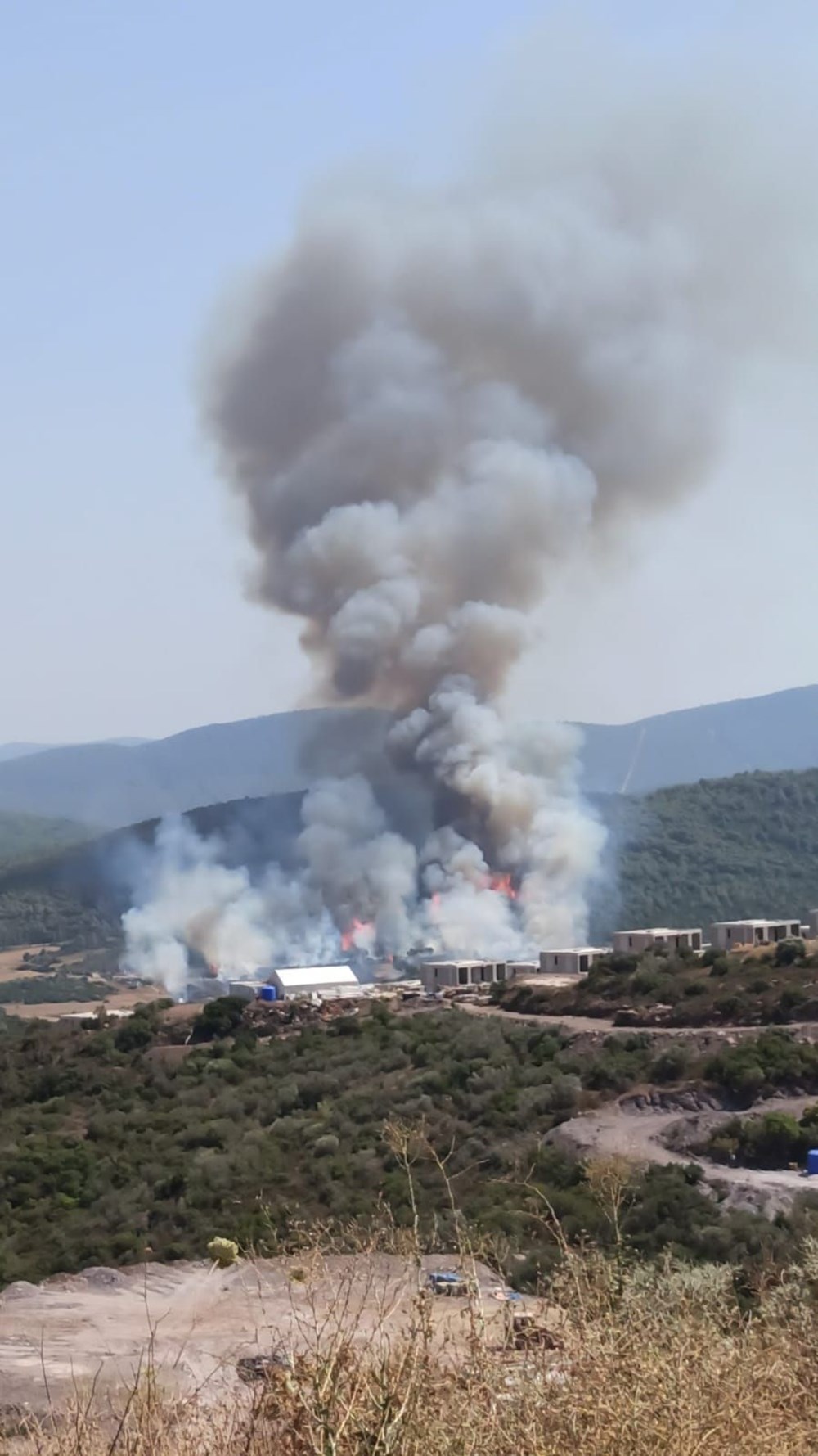 Muğla'da orman yangını - 3